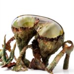 Columba Press Hydrobiology Book English Edition 170 Pages-0