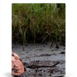 Independently Published English Book 95 Pages 6-18 Years-0