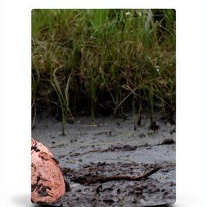 Independently Published English Book 95 Pages 6-18 Years-0