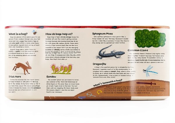 Barefoot Singalongs Songbook Childrens Book Ages 3-7-4