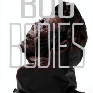 Bog Bodies Graphic Novel English Image Publication Series-0