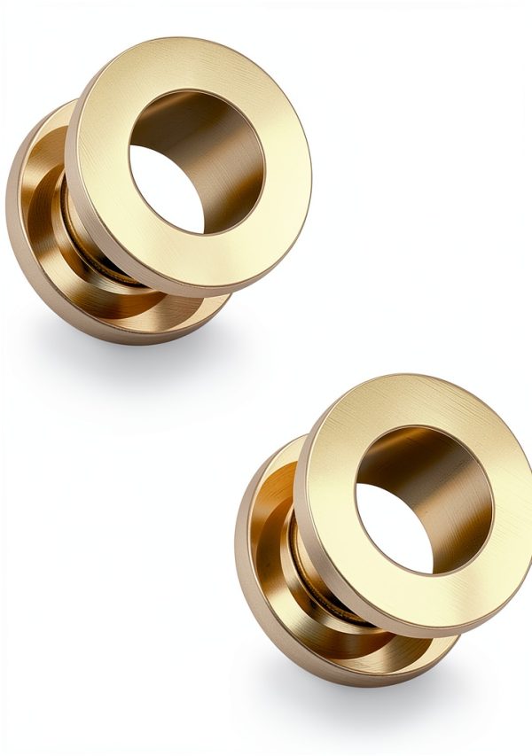 Ruifan ASTM F136 Titanium Ear Gauges Tapers Plugs Piercing