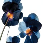 IHR Ideal Home Blue Paper Napkins 3‑ply 8.5×4.5-0